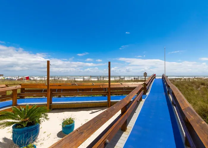 Apartment San Carlos 1501